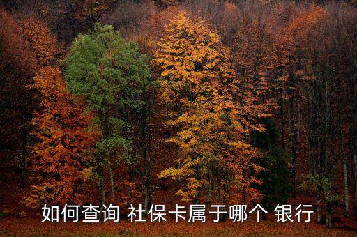 華北油田社?？ㄣy行,社保卡里的錢在哪個(gè)銀行可以取