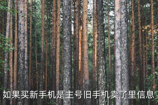 如果買(mǎi)新手機(jī)是主號(hào)舊手機(jī)賣(mài)了里信息
