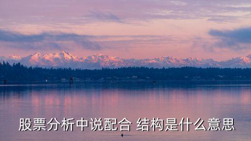 股票結(jié)構(gòu),明陽(yáng)股票結(jié)構(gòu)