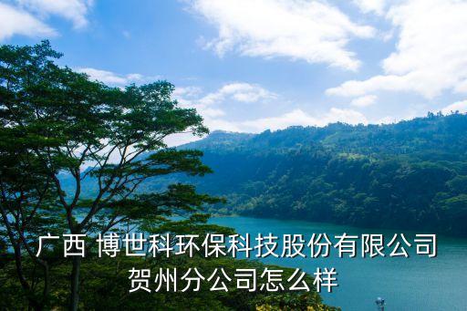  廣西 博世科環(huán)?？萍脊煞萦邢薰举R州分公司怎么樣