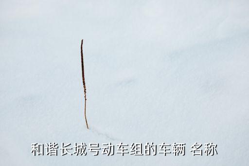 和諧長城號動車組的車輛 名稱