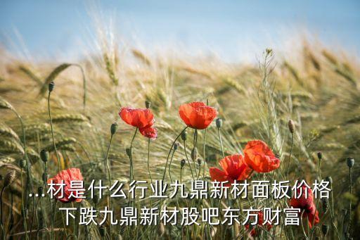 ...材是什么行業(yè)九鼎新材面板價格下跌九鼎新材股吧東方財(cái)富