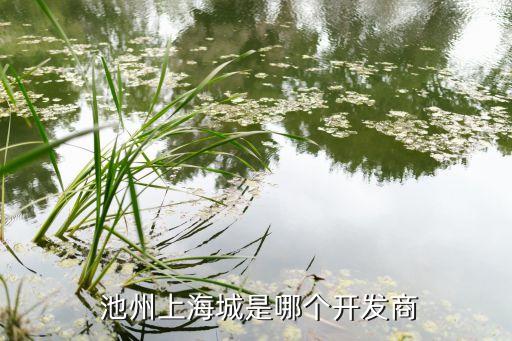  池州上海城是哪個(gè)開(kāi)發(fā)商