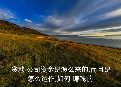  貸款 公司資金是怎么來的,而且是怎么運(yùn)作,如何 賺錢的