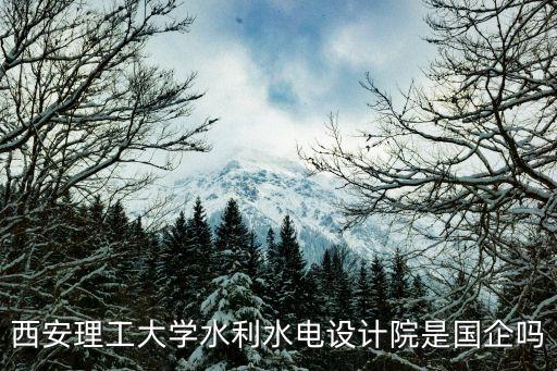 西安理工大學(xué)水利水電設(shè)計院是國企嗎