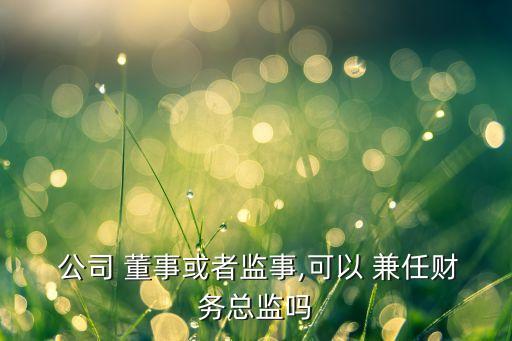  公司 董事或者監(jiān)事,可以 兼任財務(wù)總監(jiān)嗎