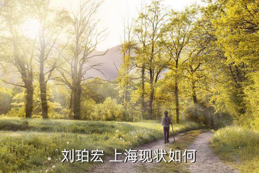 劉珀宏 上?，F(xiàn)狀如何