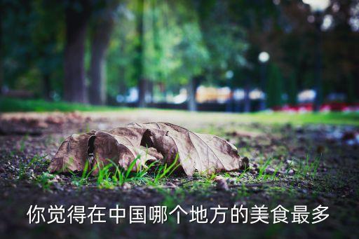 你覺(jué)得在中國(guó)哪個(gè)地方的美食最多