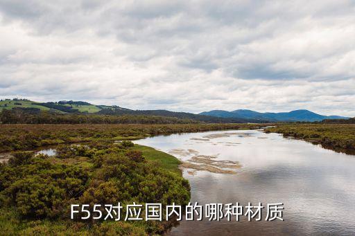 F55對應國內的哪種材質