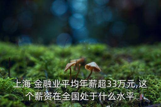 上海 金融業(yè)平均年薪超33萬元,這個(gè)薪資在全國處于什么水平