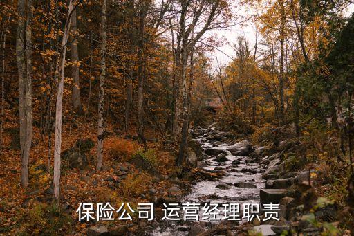 保險公司運(yùn)營部是干什么的