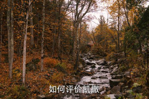 如何評價凱撒
