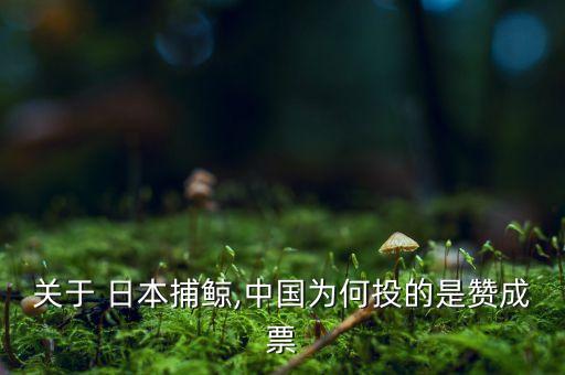 關于 日本捕鯨,中國為何投的是贊成票