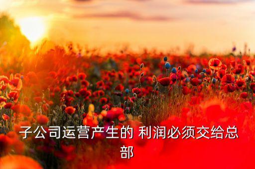 子公司利潤(rùn)分配法規(guī)