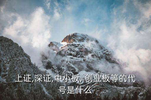 創(chuàng)業(yè)板指數有哪些股票