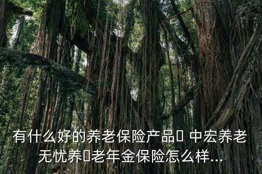 有什么好的養(yǎng)老保險(xiǎn)產(chǎn)品? 中宏養(yǎng)老無(wú)憂(yōu)養(yǎng)?老年金保險(xiǎn)怎么樣...