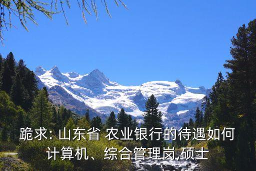 跪求: 山東省 農(nóng)業(yè)銀行的待遇如何計算機、綜合管理崗,碩士