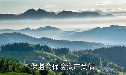 保監(jiān)會保險資產負債