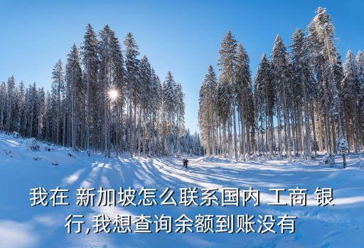 我在 新加坡怎么聯(lián)系國內 工商 銀行,我想查詢余額到賬沒有