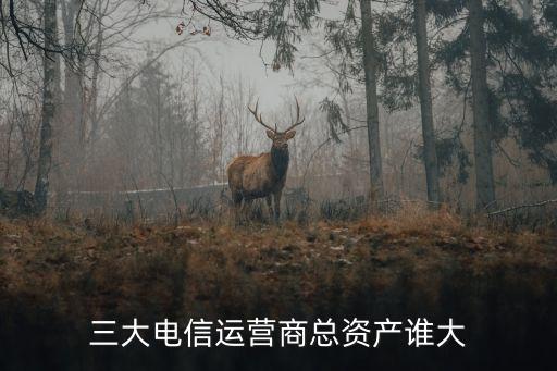 三大電信運(yùn)營(yíng)商總資產(chǎn)誰大