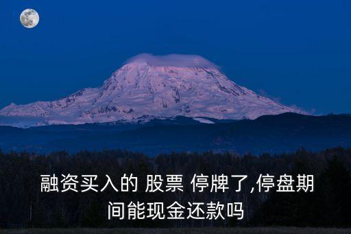 融資買(mǎi)的股票遇到停牌怎么辦