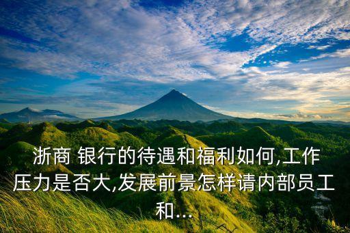  浙商 銀行的待遇和福利如何,工作壓力是否大,發(fā)展前景怎樣請內部員工和...