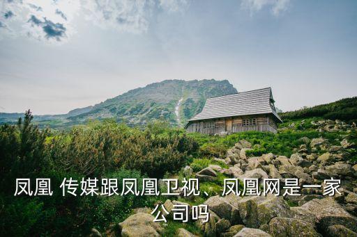 鳳凰 傳媒跟鳳凰衛(wèi)視、鳳凰網(wǎng)是一家 公司嗎
