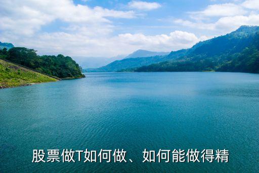  股票做T如何做、如何能做得精