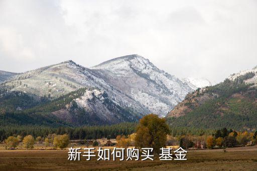 買臺(tái)灣基金,國(guó)內(nèi)投資臺(tái)灣的基金