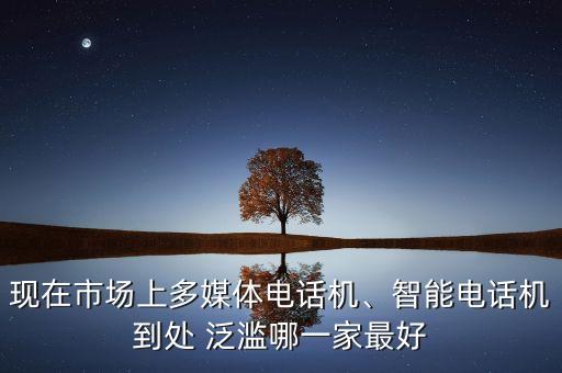現(xiàn)在市場上多媒體電話機(jī)、智能電話機(jī)到處 泛濫哪一家最好