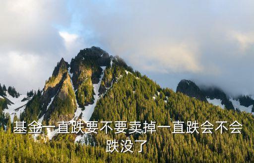 股災(zāi)基金賣(mài)好還是不賣(mài)