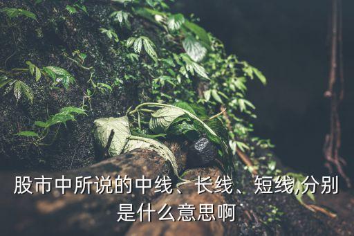 股市中所說的中線、長線、短線,分別是什么意思啊