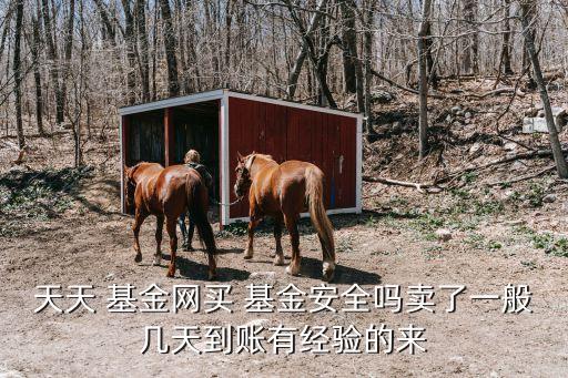 天天 基金網(wǎng)買 基金安全嗎賣了一般幾天到賬有經驗的來