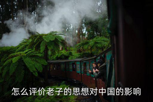 怎么評(píng)價(jià)老子的思想對(duì)中國的影響