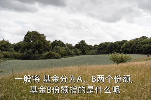 一般將 基金分為A、B兩個(gè)份額, 基金B(yǎng)份額指的是什么呢