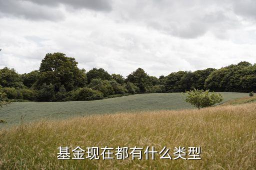  基金現(xiàn)在都有什么類(lèi)型