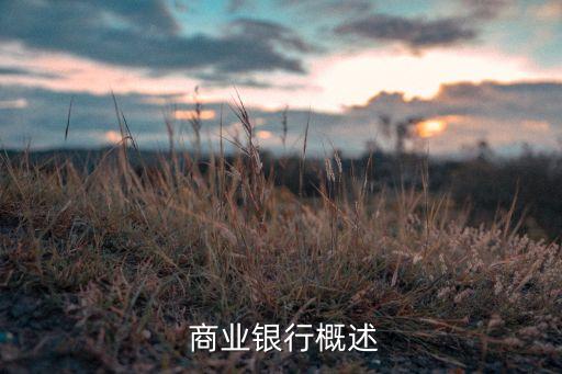 什么是商業(yè)銀行的綜合化經(jīng)營,商業(yè)銀行對(duì)企業(yè)可提供的綜合化
