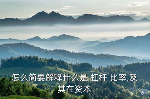 怎么簡(jiǎn)要解釋什么是 杠桿 比率,及其在資本