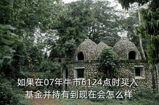 如果在07年牛市6124點(diǎn)時買入 基金并持有到現(xiàn)在會怎么樣