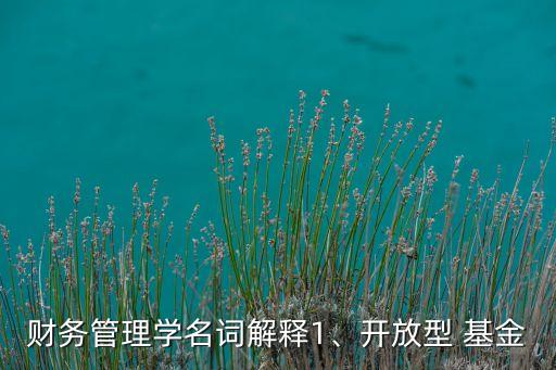 財(cái)務(wù)管理學(xué)名詞解釋1、開放型 基金