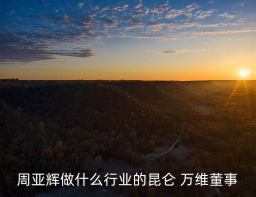 周亞輝做什么行業(yè)的昆侖 萬維董事