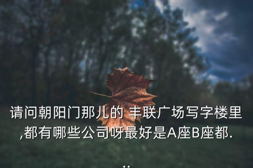 請(qǐng)問(wèn)朝陽(yáng)門那兒的 豐聯(lián)廣場(chǎng)寫字樓里,都有哪些公司呀最好是A座B座都...