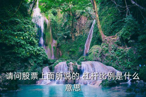 請(qǐng)問(wèn)股票上面所說(shuō)的 杠桿比例是什么意思