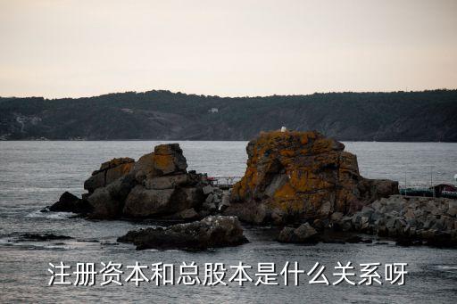 注冊資本和總股本是什么關系呀
