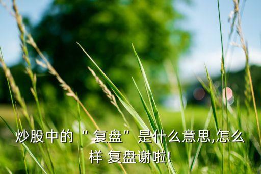 炒股中的“ 復(fù)盤(pán)”是什么意思,怎么樣 復(fù)盤(pán)謝啦!