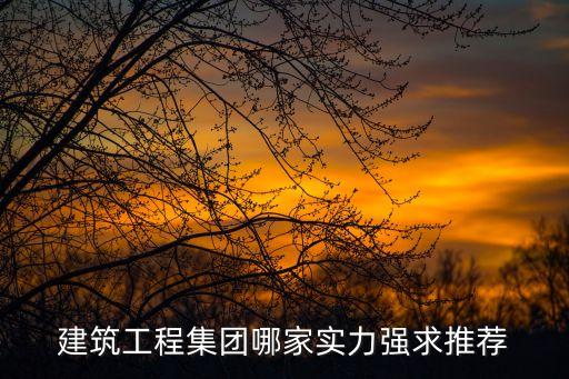 建筑工程集團(tuán)哪家實力強(qiáng)求推薦