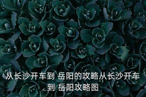 從長(zhǎng)沙開車到 岳陽的攻略從長(zhǎng)沙開車到 岳陽攻略圖