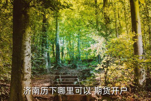 濟(jì)南歷下哪里可以 期貨開(kāi)戶(hù)