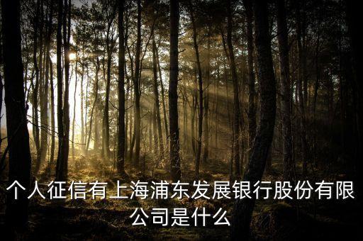 個(gè)人征信有上海浦東發(fā)展銀行股份有限公司是什么