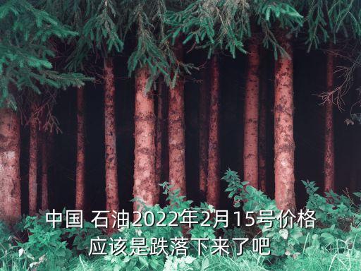 中國 石油2022年2月15號價格應(yīng)該是跌落下來了吧